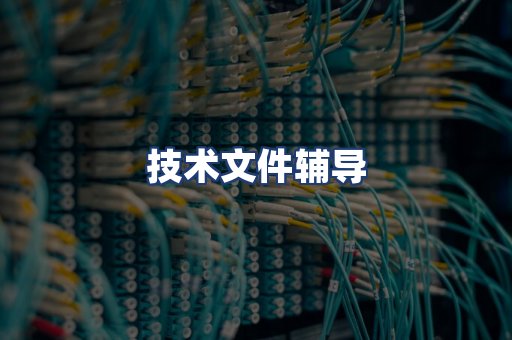技术文件辅导