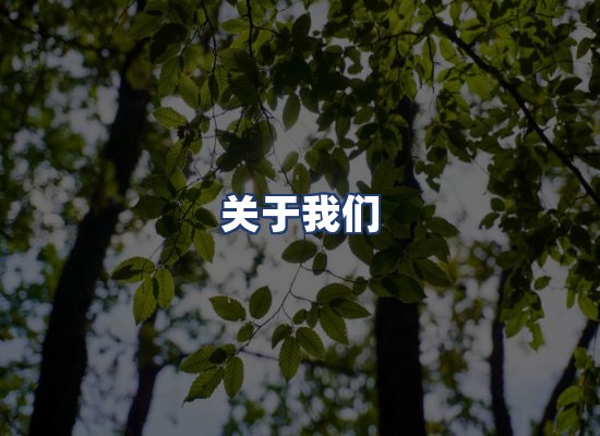 关于我们